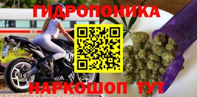 гашиш Тара